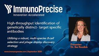 High throughput identification of genetically distinct, target-specific antibodies