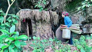 Full video: Abandoned house revived under the hands of a young girl