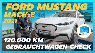 Ford Mustang Mach-e 120,000 km used car test: a strong stallion or a lame horse?