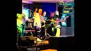 The Vernon Principle 80s guilty pleasure band - Live at Chandler’s Ford.