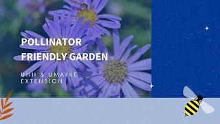 How to Create a Pollinator Friendly Garden