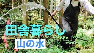 田舎暮らしの日常　山の水、設置してから2週間後のメンテナンスをしました　飛騨の山奥での生活