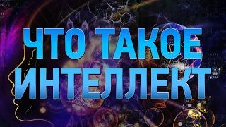 ЧТО ТАКОЕ ИНТЕЛЛЕКТ? | IQ