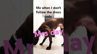 When I don't follow the dress code 
