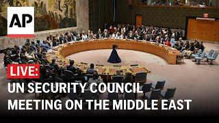 LIVE: UN Security Council meeting on the Middle East