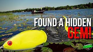 Found a New Hidden Gem in Arkansas for Frog Fishing! (Bass Fishing) (Ep. 127)