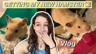 GETTING A NEW HAMSTER! *VLOG*