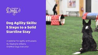 FREE Webinar: Dog Agility Skills - 5 steps to a solid startline stay