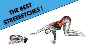 The Best Stretches Of Your Life !