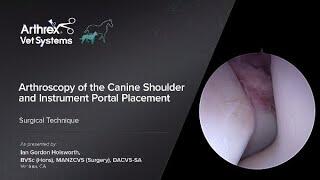 Arthroscopy of the Canine Shoulder and Instrument Portal Placement