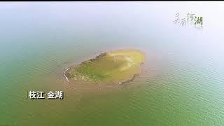 《美丽河湖》金湖丨视听中国-湖北精品影视频道