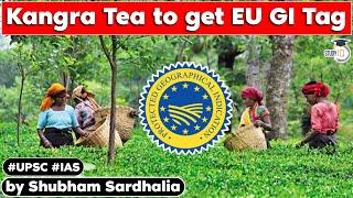 Kangra Tea will get GI Tag from European Commission | Himachal Pradesh PSC | UPSC GS Current affairs