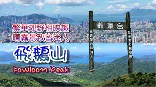 [輕輕鬆鬆，仲夏遊蹤] 飛鵝山 | 繁華郊野相映趣 晴霧景致皆迷人 | Kowloon Peak | The World under my Feet