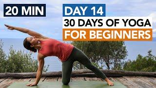 20 Min Full Body Beginner Yoga (Day 14) 30 Days of Yoga For Beginners