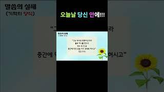 성령님은 오늘날 당신 안에 거하고 계십니다 #말씀의실재 #오늘의큐티 #생명의말씀 #새로운피조물 #말씀양식 #감사 #기도 #하나님 #예수님 #jesus #돈 제작