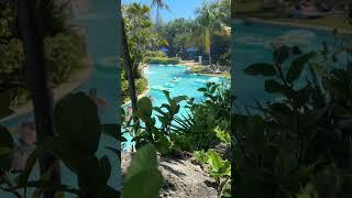 Hilton Rose Hall - All Inclusive Family Resort in Jamaica
