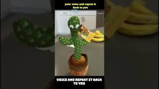 Pbooo Dancing Cactus Toy #products #toys #cartoys #cactus