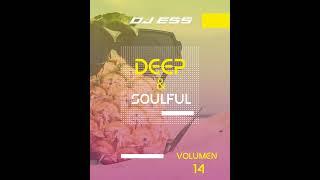 DJ ESS @ DEEP & SOULFUL VOL.14