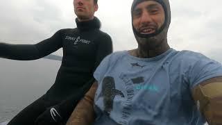 UK at its finest, spearfishing back home 