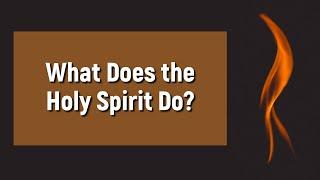 What does the Holy Spirit do?