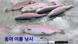 #송어낚시 ловим форель на льду #송어어름낚시 #troutfishingonice