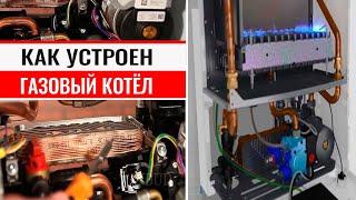 Как устроен настенный газовый котёл и принцип его работы