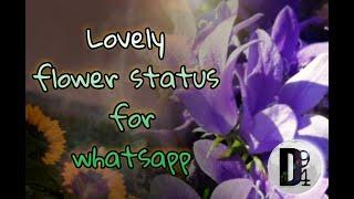 New whatsapp status / flower status / new short status / 1080p video / channel D94