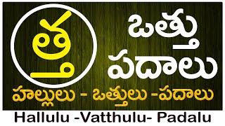 Tha Vattu Padalu | How to write Tha vattu | త వత్తు పదాలు | Hallulu vatthulu padalu in telugu