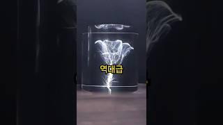 감탄밖에  안 나오는 요즘 미술작품