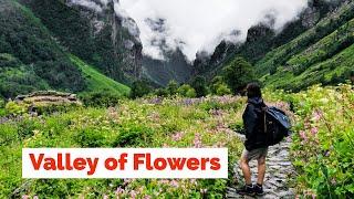 Valley of Flowers Trek | Uttarakhand | Heaven on Earth