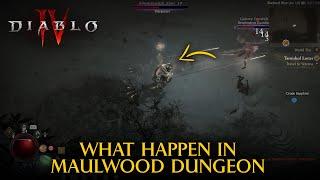 Diablo 4: What Happened The Maulwood Dungeon?