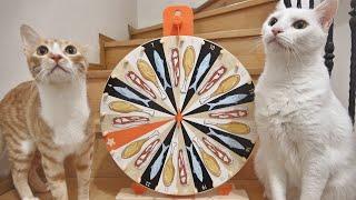 Cats Spinning The Wheel To Choose What To Eat !! (1M SUBS FEAST)