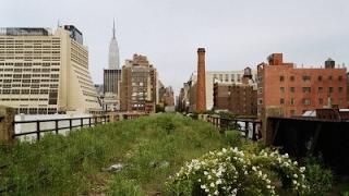 Liz Diller | The High Line | NYC