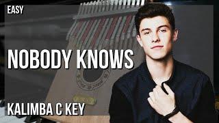 How to play Nobody Knows by Shawn Mendes on Kalimba (Tutorial)