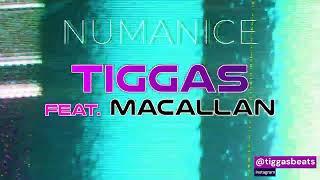 TRAP 2022 - Playlist - NUMANICE - Tiggas feat. Macallan