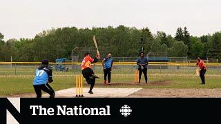 Ontario cricket players lack the space to play