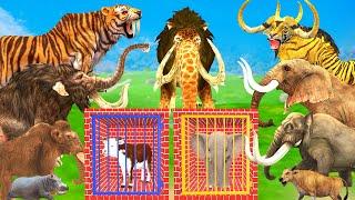 10 Mammoth Elephant Cow vs 10 Giant Tiger Wolf vs Dinosaur Fight Tiger Cub Saved by Woolly Mammoth