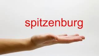 How to Pronounce spitzenburg - American English