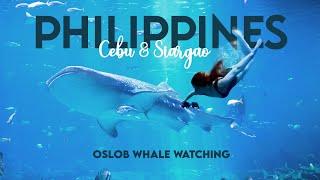 Philippines with 8 Miles from Home - Oslob and Whale Shark Watching - Part 2