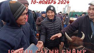 10-НОЯБРЬ/2024/ШЫМБАЙ МАЛ БАЗАРЫ/МАЛ БАЗАР 2024/ДЕМ БЕРМЕС МАЛ БАЗАР