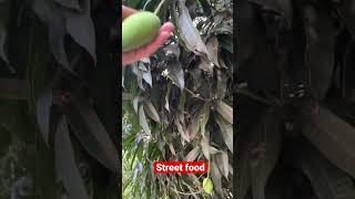 Mango tree picking #shorts #fruitpicking #greenmango #filipinofood #delicacy #pinoyfood #vlog #fy