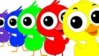 Colorful Duck Song | Duck Song | Kids Tv Color Video | Learn Colors With Ducks | Kids Tv Rhymes