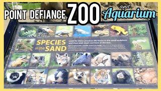 Point Defiance Zoo and Aquarium | Learning the Zoo Animals