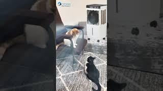 Modish Home Appliances|#modishhomeappliances #aircooler #viralvideo #coolerl
