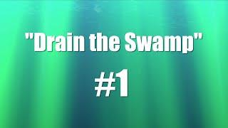 Special Edition: Drain the Swamp #1 #slotcars #hobby #scalextric #slotcarsareback