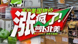 实拍美国物价，月入5000刀，活得不如狗！| 萝卜北美