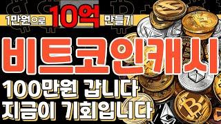 비트코인캐시 100만원 갑니다 지금이 기회입니다