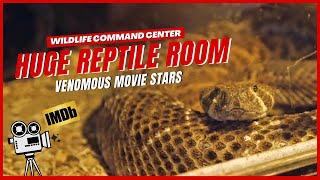 CRAZY Reptile Collection Tour - Wildlife Command Center