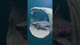 Who would eat who? The Bloop vs Megalodon