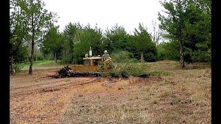 1941 Cat D2 Pushing Down Trees Spring 2023